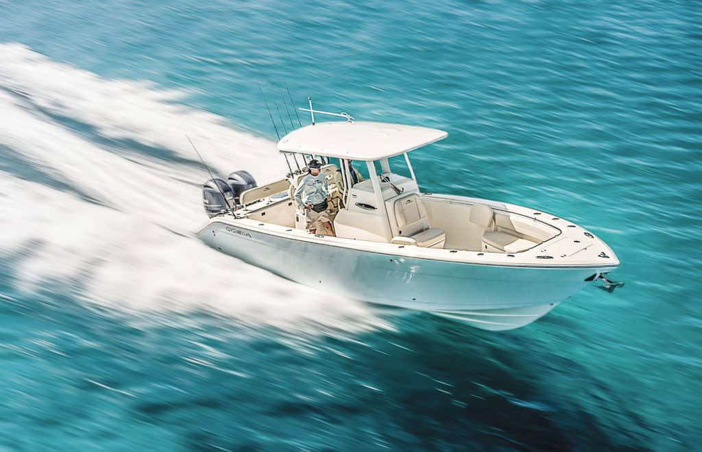 Cobia 262 in the blue ocean