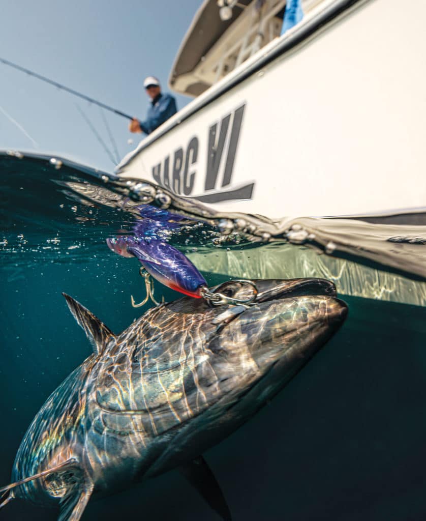 Tuna brought boatside