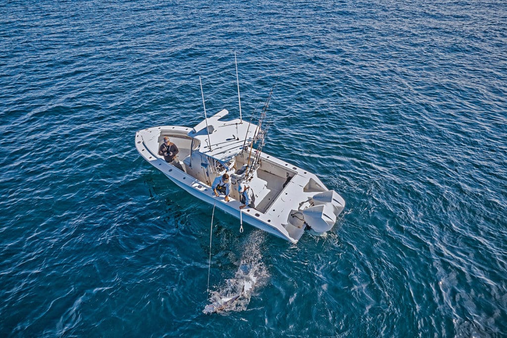 Overhead shot of boat fishing for tuna