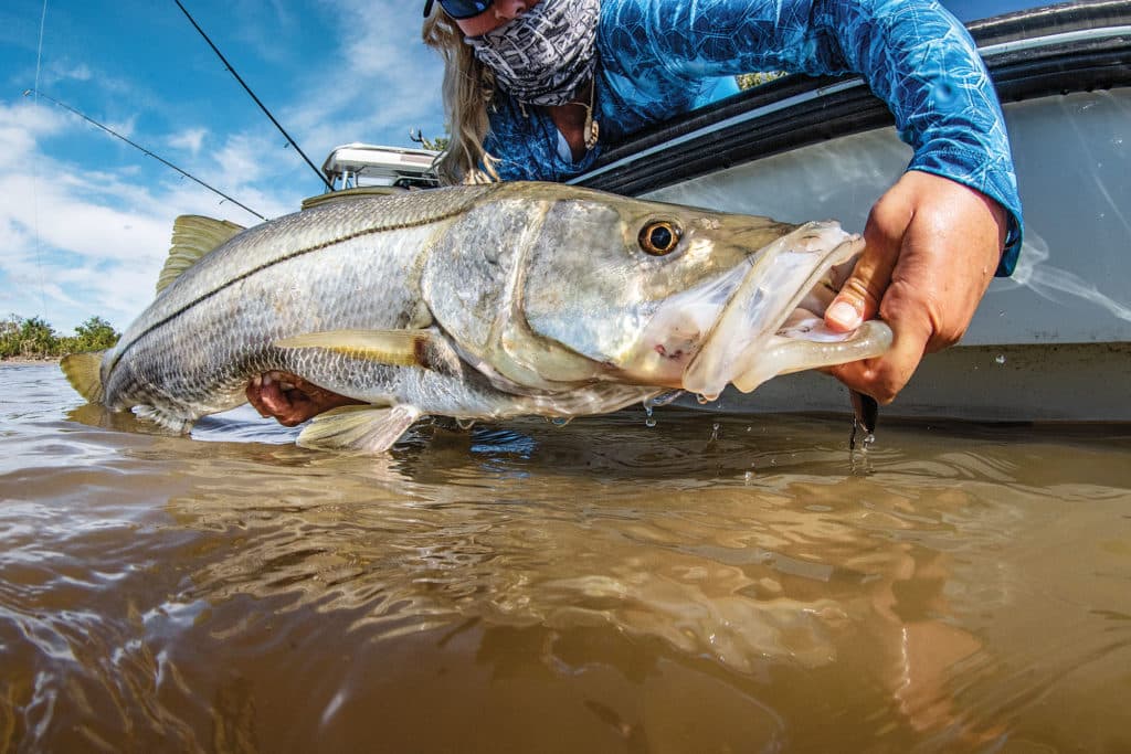 Snook next to boat