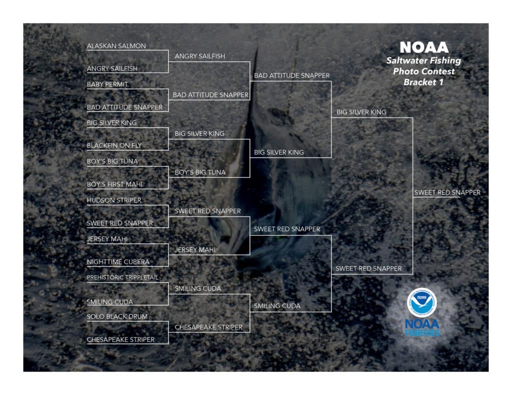 NOAA Contest Bracket 1 Final 4