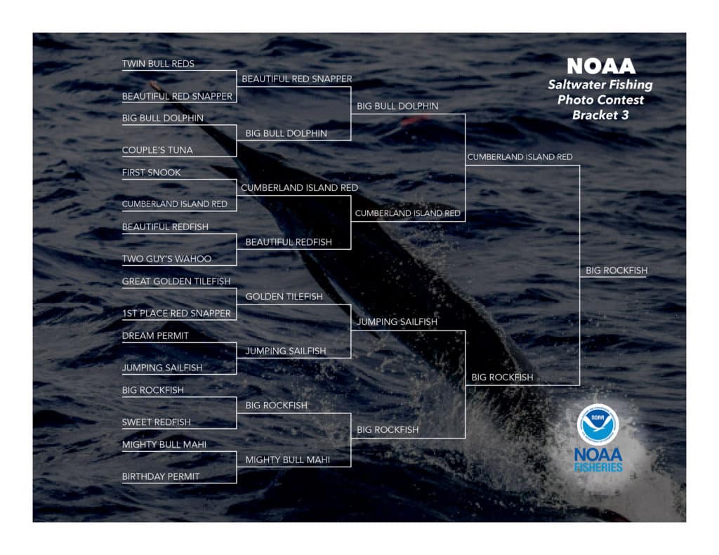 NOAA Contest Bracket 3 Final 4