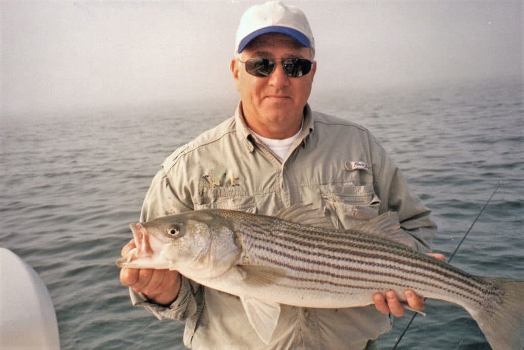 Striped bass caught in New England