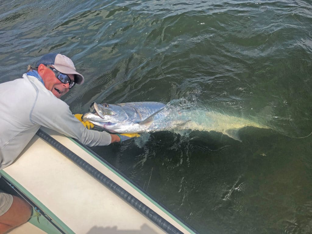 Tarpon at the boat