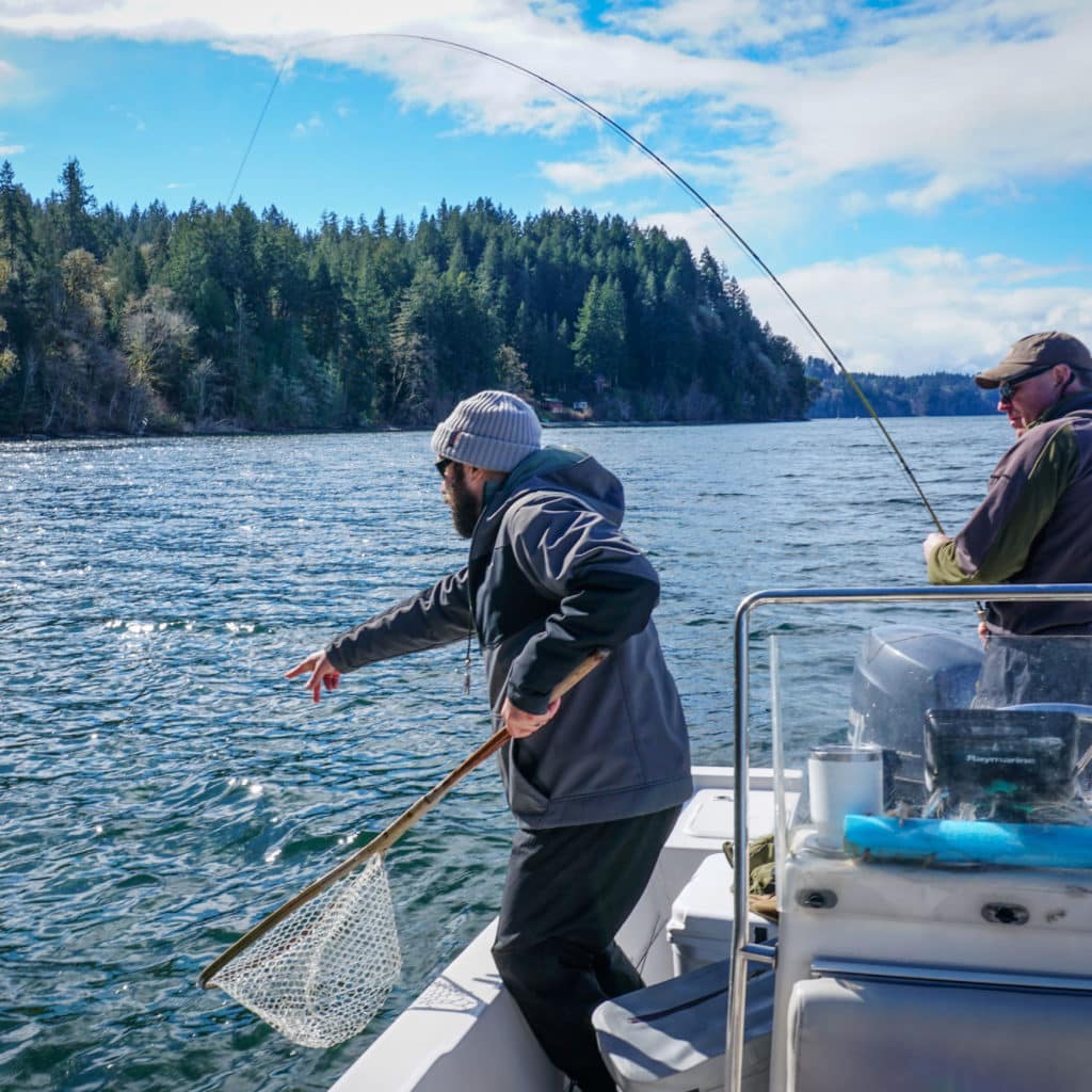 Cutthroat trout on the line