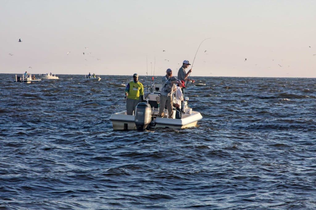 Anglers fishing for flounder