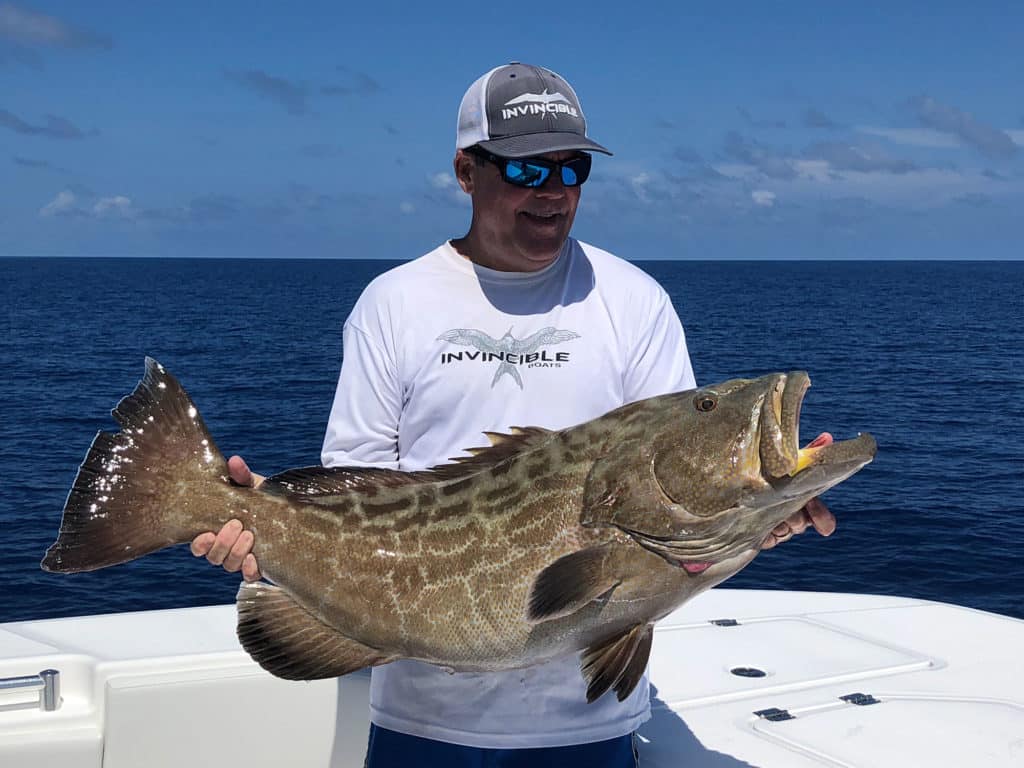 Large grouper on the boat