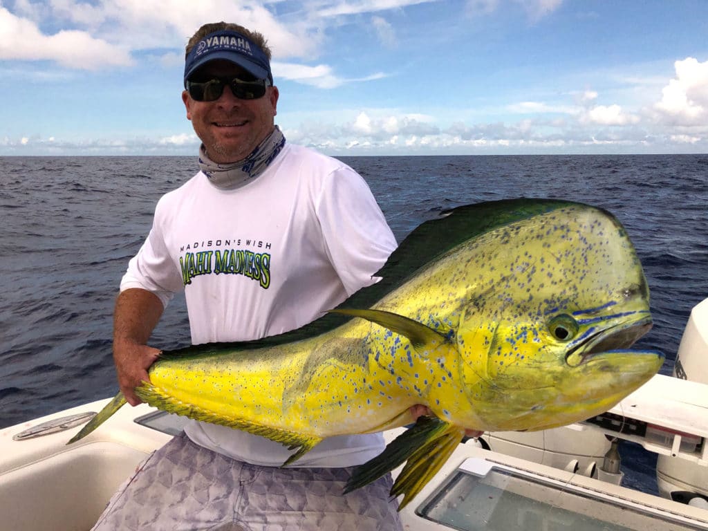 Dolphinfish on board