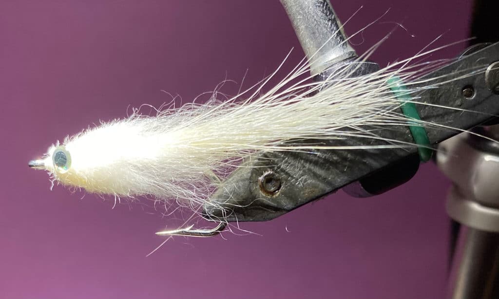 Dock Lint fly for snook