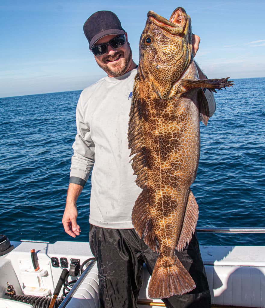 Large lingcod on a boat