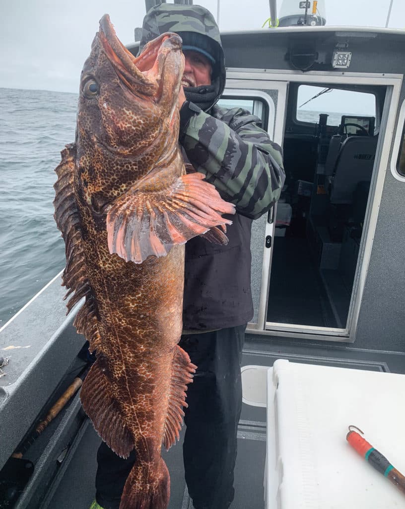 Lingcod over 50 pounds being held up