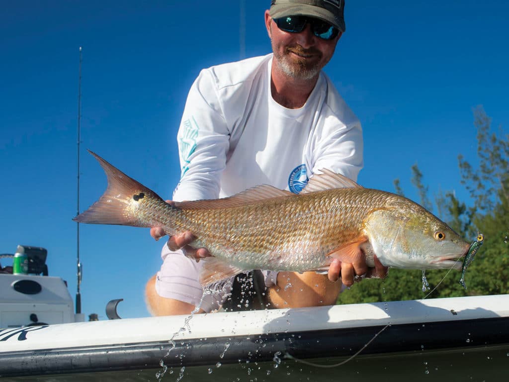 Large redfish on the boat