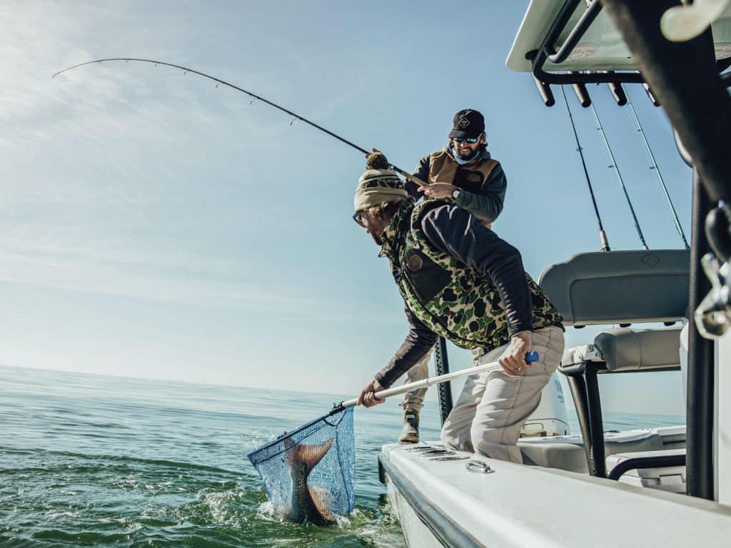 Red drum in fishing net