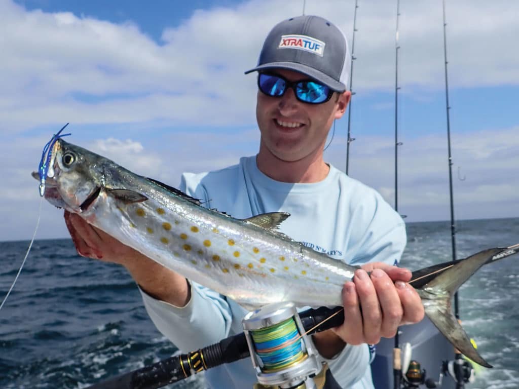 Spanish mackerel caught in an inlet