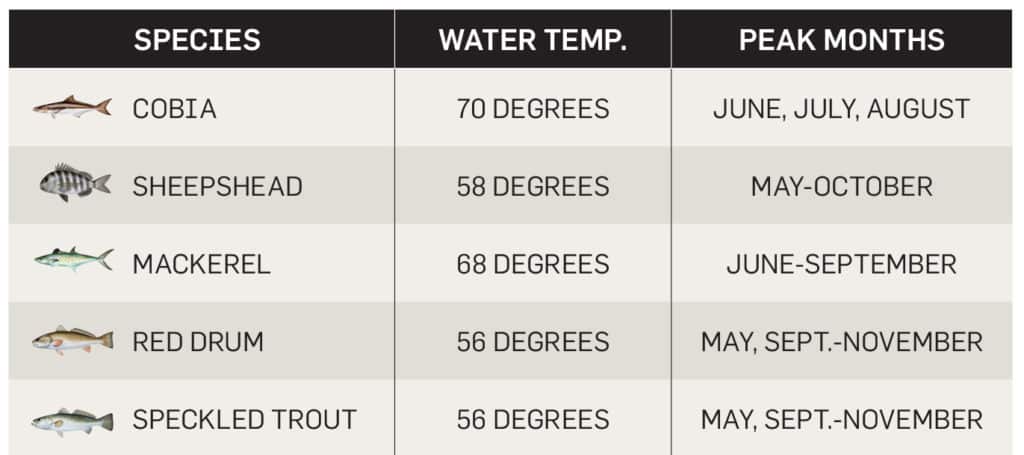 Fish chart for the northeast