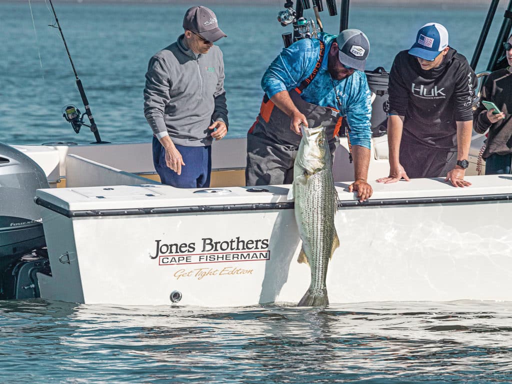 Large striped bass being held up at boat