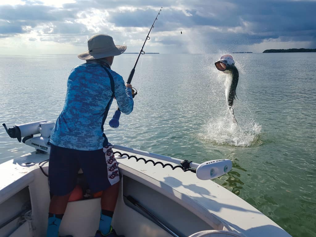 Jumping tarpon