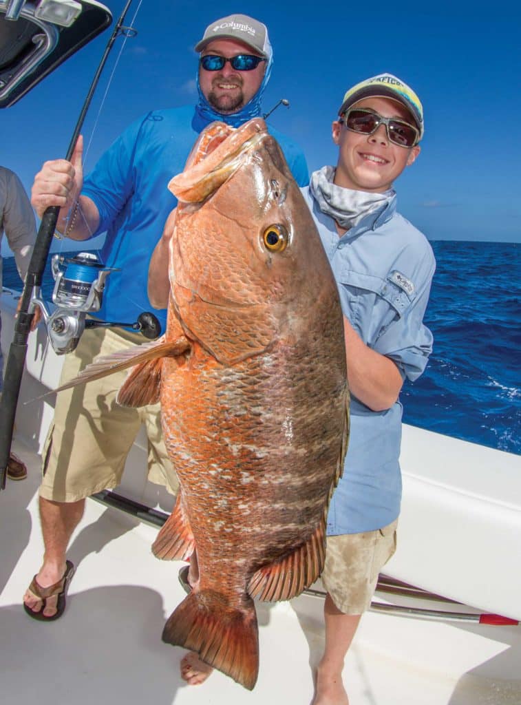 Large cubera snapper