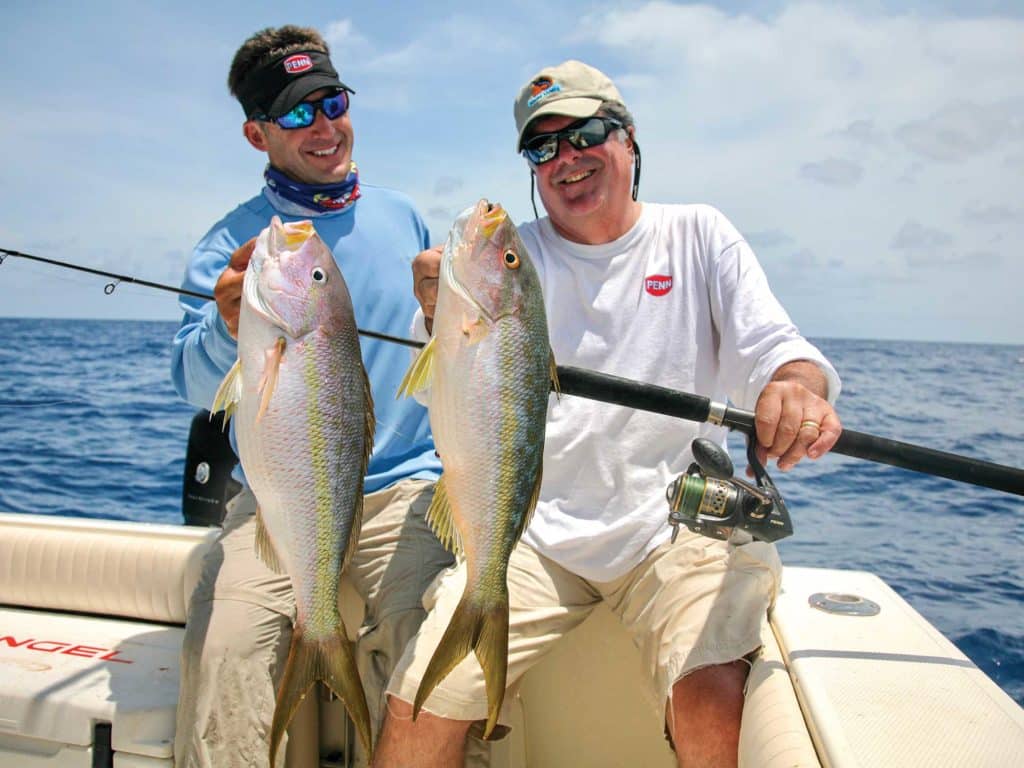 Large yellowtails in the Bahamas