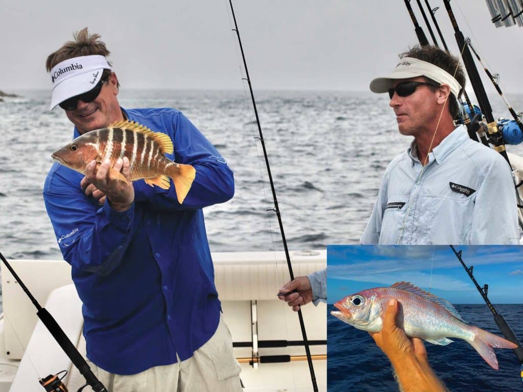 Schoolmaster and silky snapper