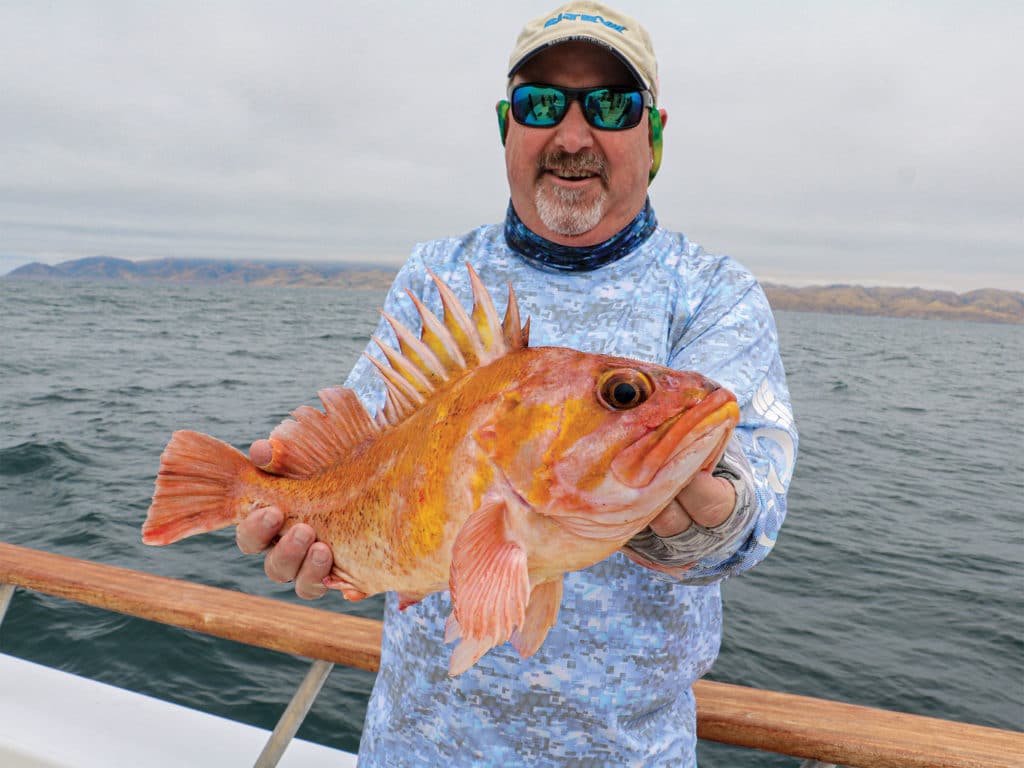Copper rockfish caught off California