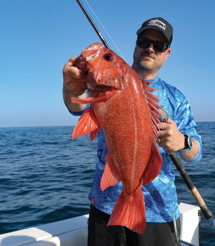 Vermilion rockfish