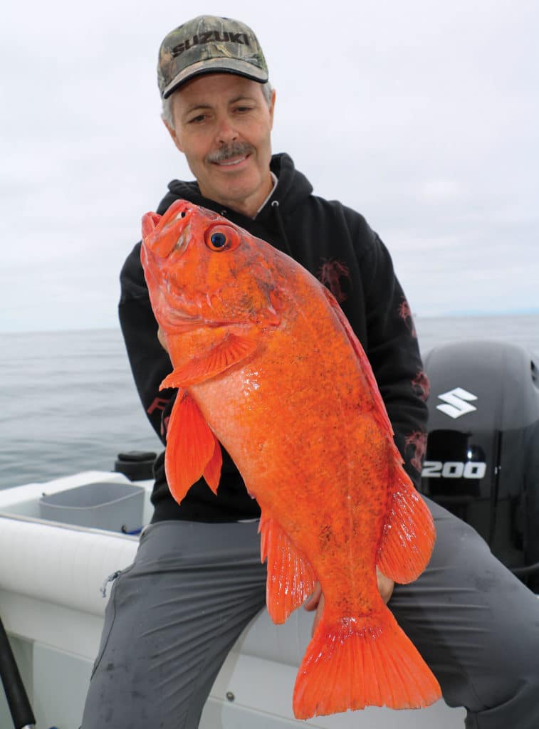 Bright red rockfish