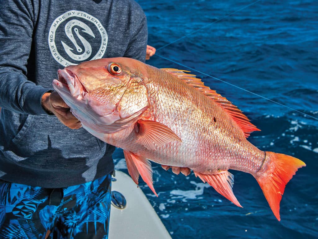 Mutton snapper on the boat