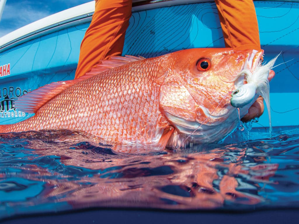 Red snapper next to the boat