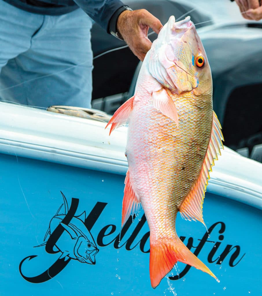 Mutton snapper being brought on the boat