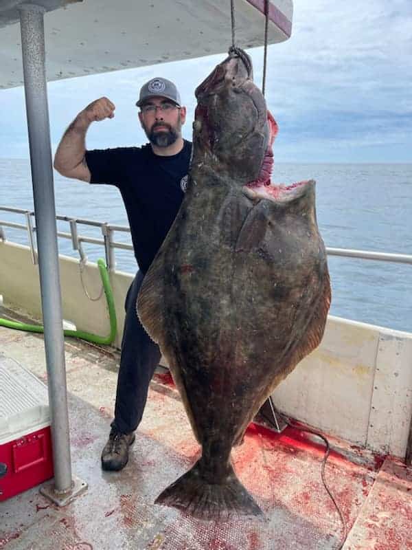 Giant Atlantic Halibut Landed Off Massachusetts