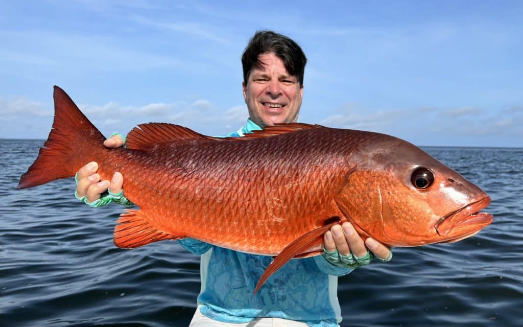 Record Gorean Snapper