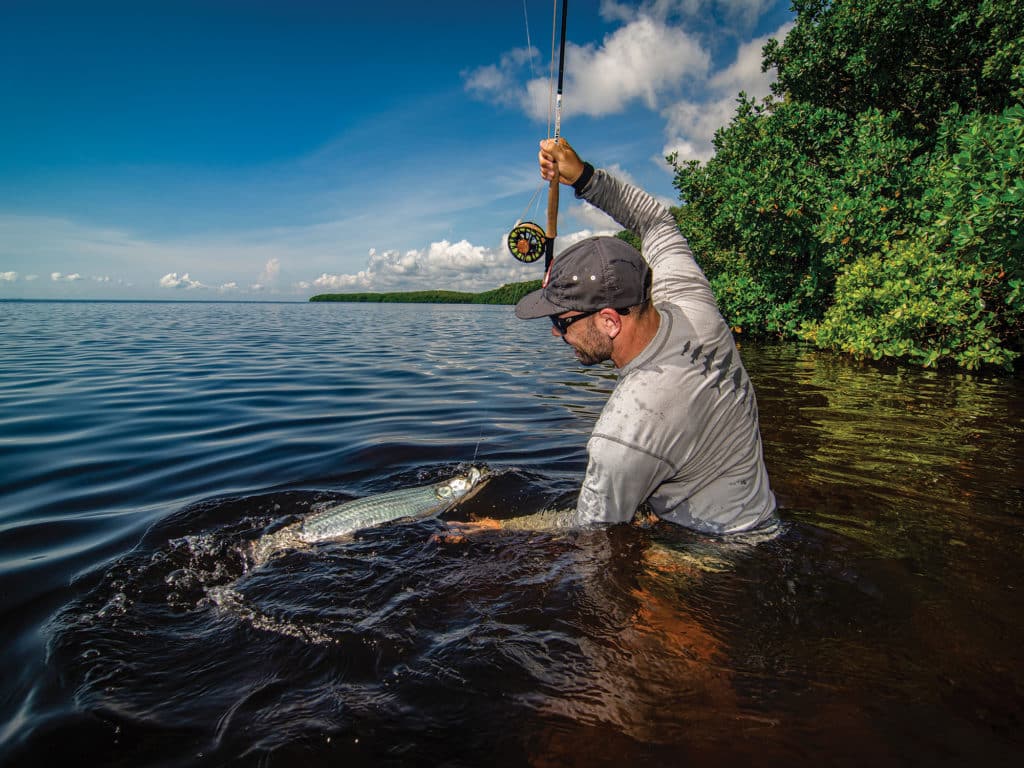 Tarpon on fly