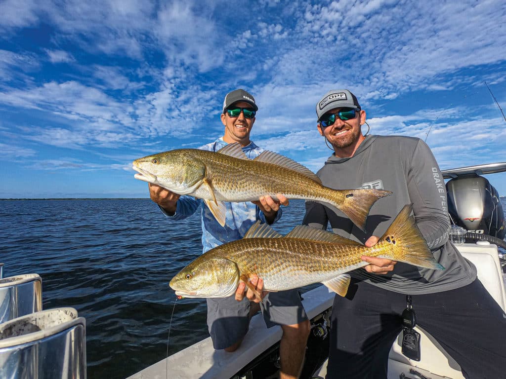 Large redfish in the Everglades