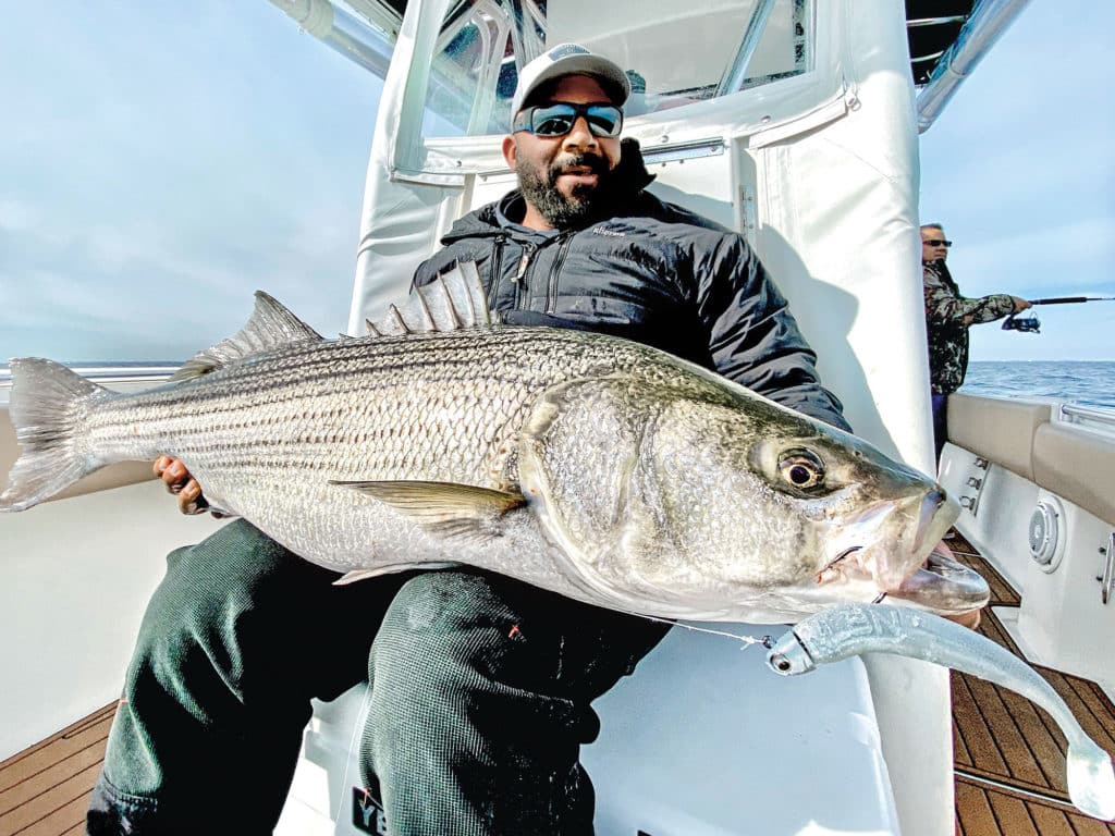 Striper on the boat