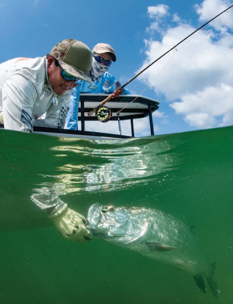 Tarpon caught on fly