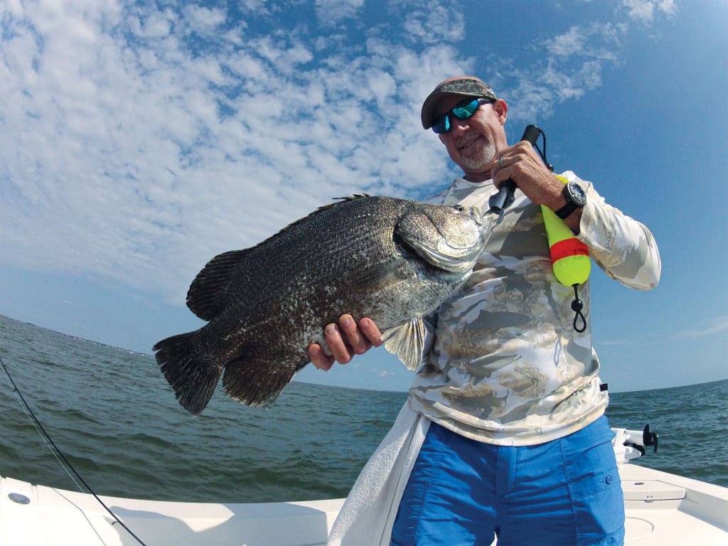 Tripletail caught off the Georgia coast