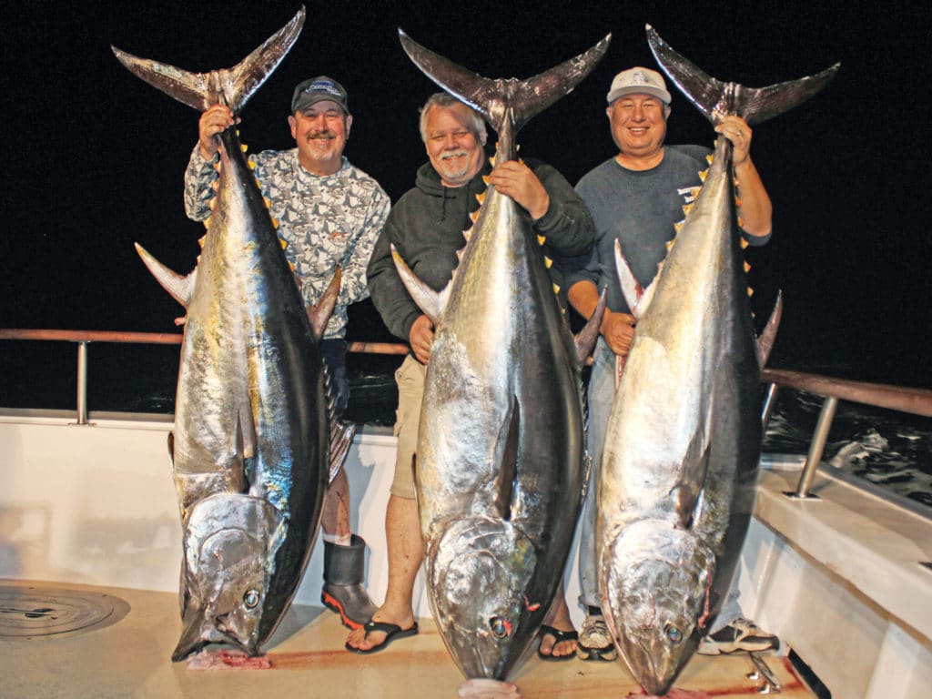 Three large bluefin on boat