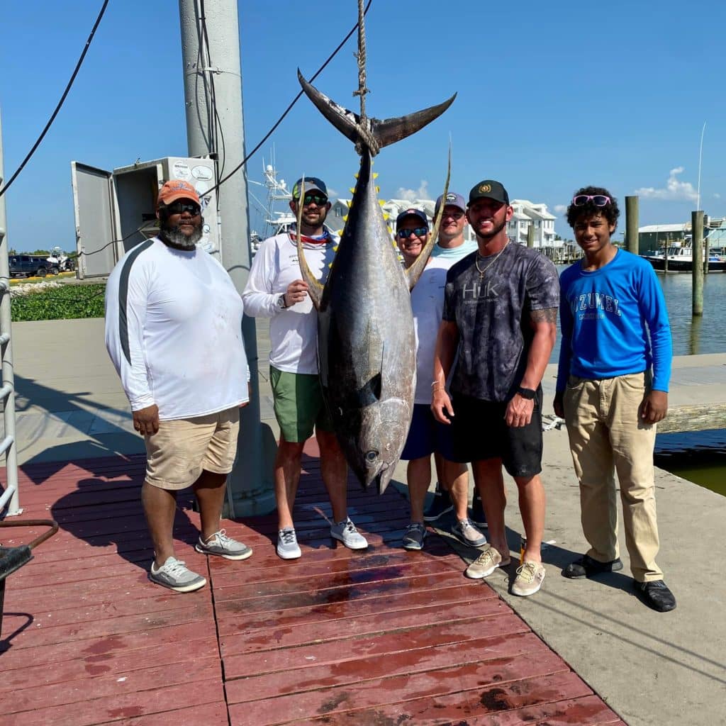 238.2 pound tuna dockside