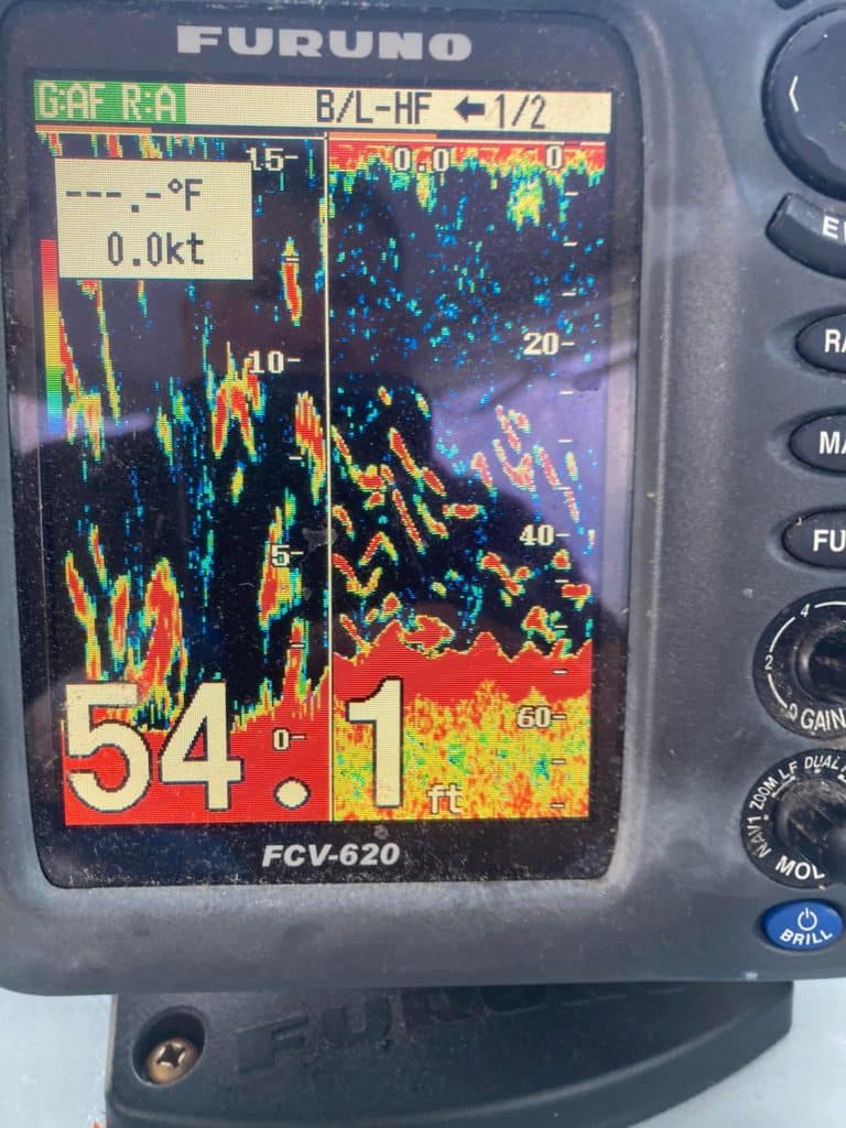 fish finder with stripers