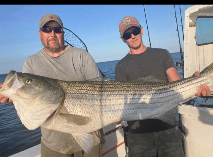 54 pound striped bass