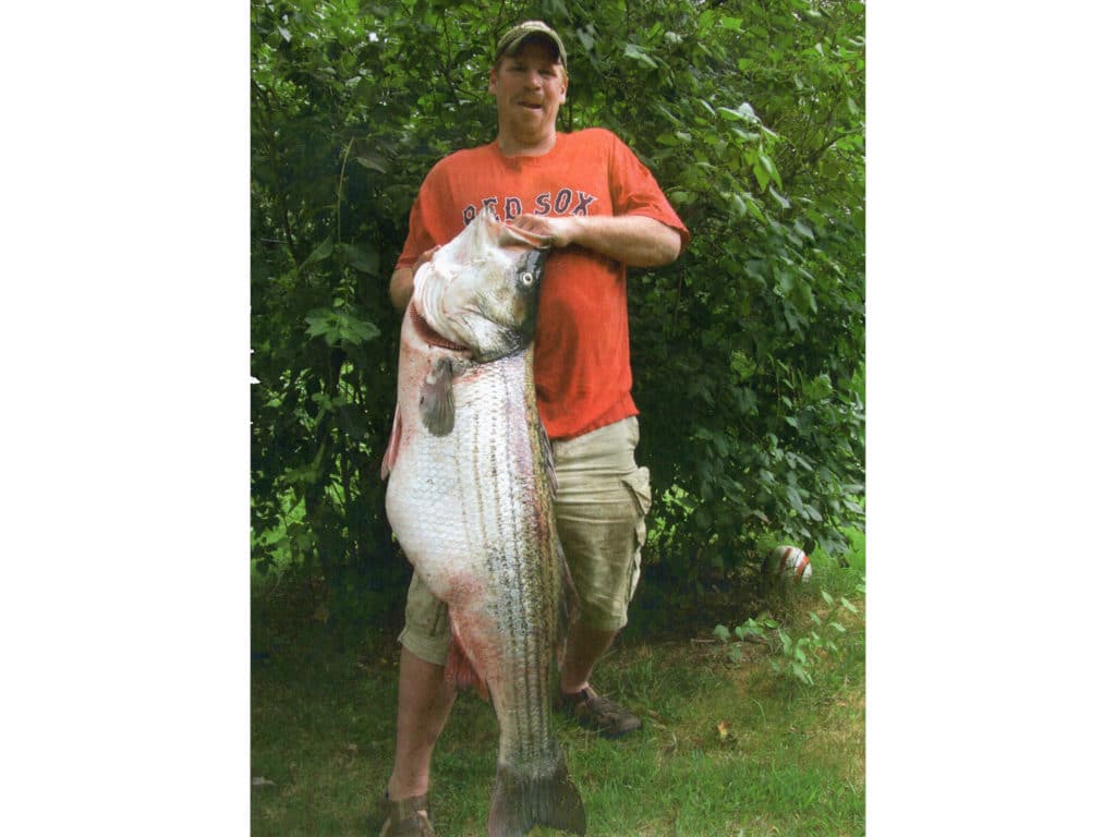 largest striped bass world record