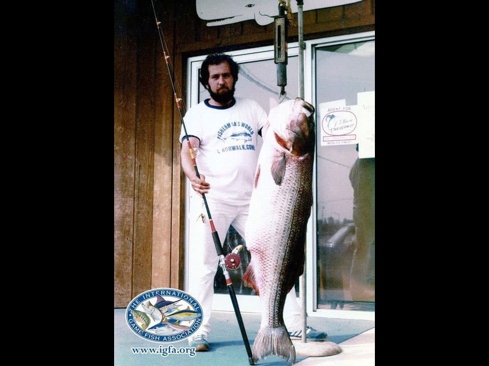 71-pound striped bass world record
