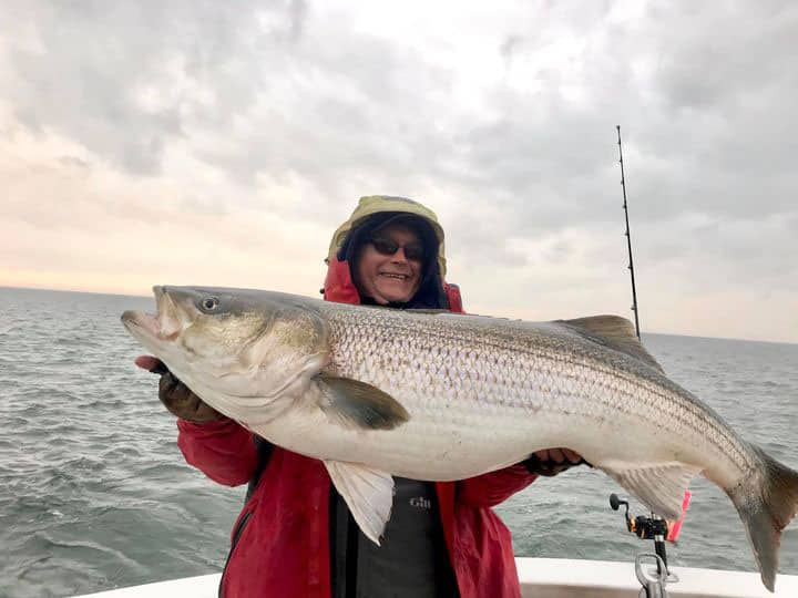 How to Catch Striped Bass at New Jersey Jetties - On The Water