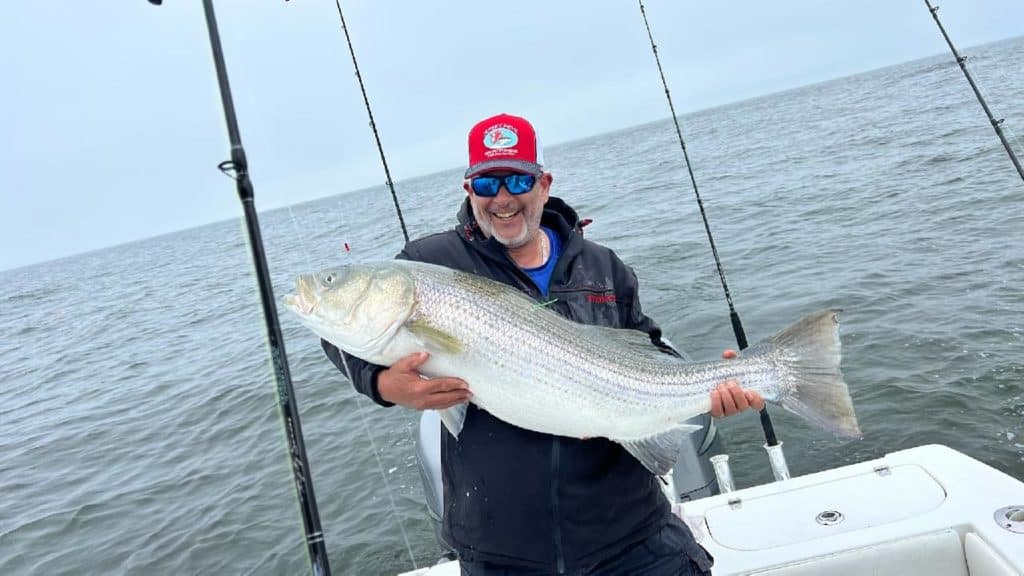 Richie Torres with a 44.28-pound striped bass