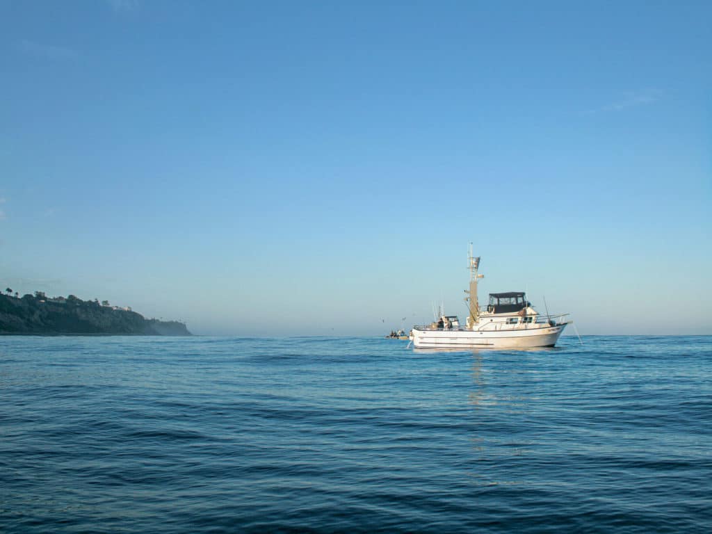 Boat anchored while fishing for yellowtails