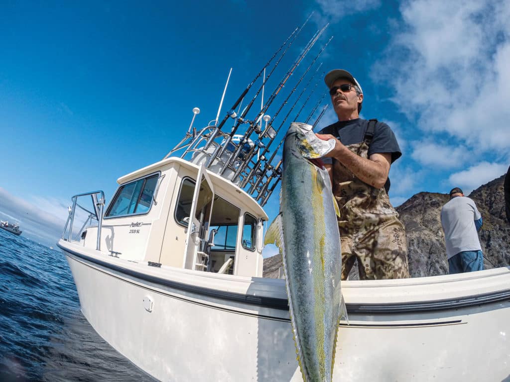 Angler with yellowtail at the boat
