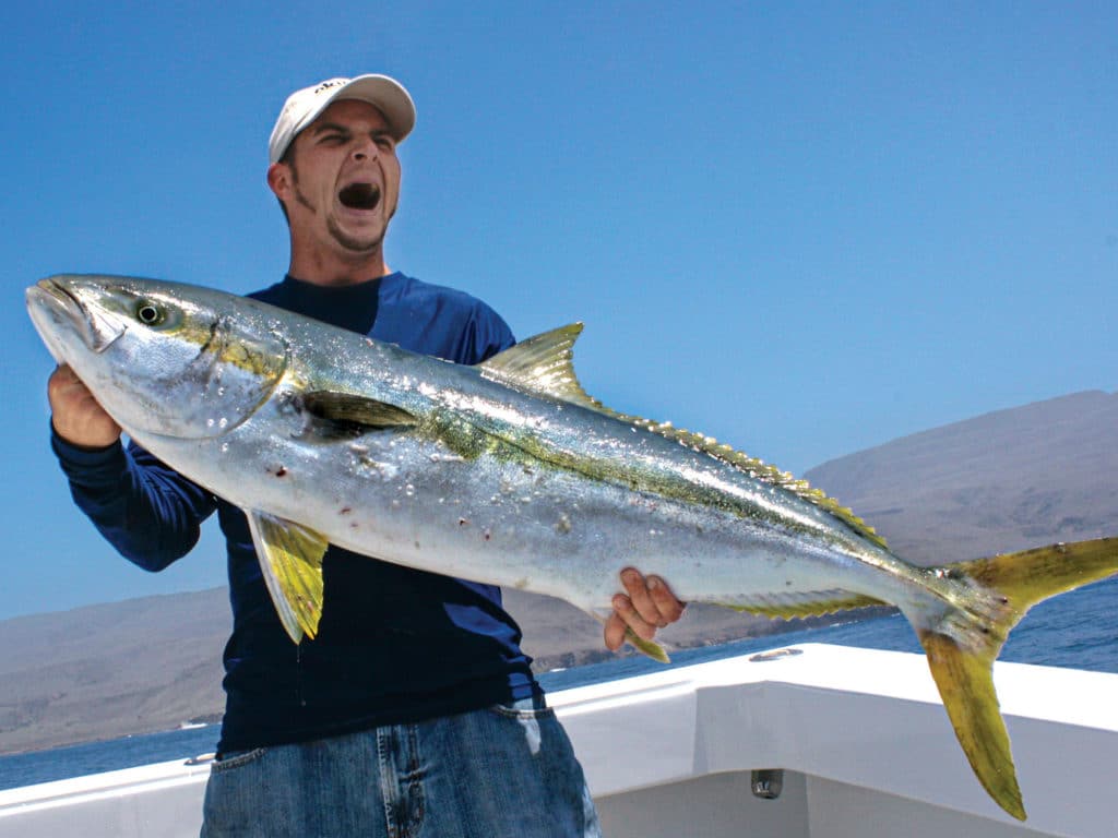 Yellowtail caught using a jig