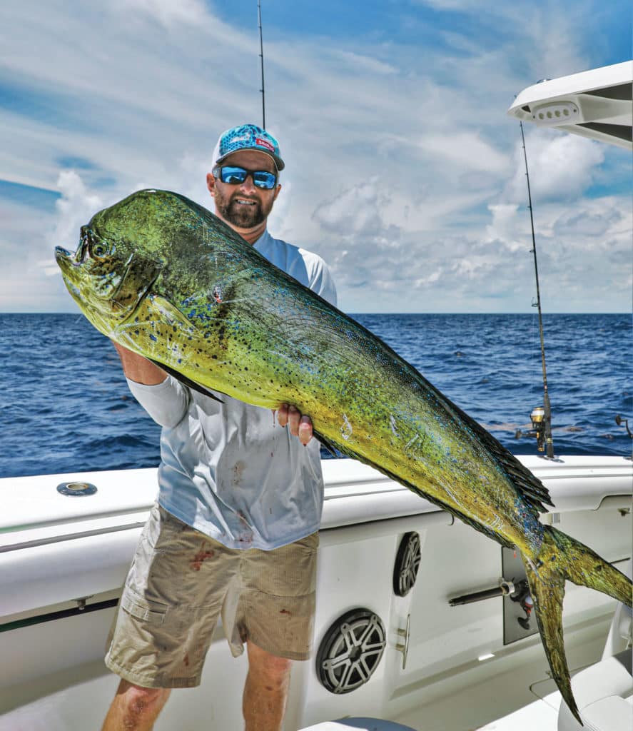 Angler with a large mahi caught around weed edge