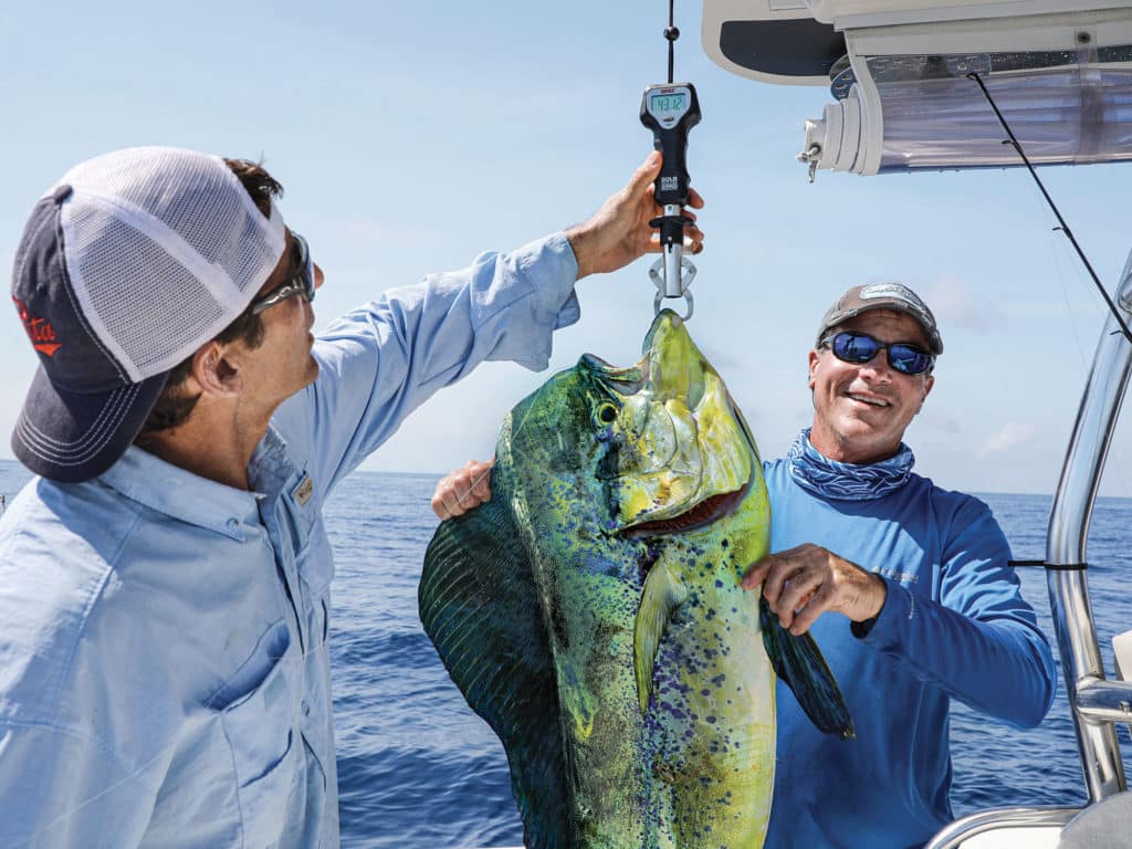 Weighing mahi on the boat